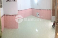 Nhà nhỏ xinh 1 lầu hẻm 31 nguyễn thị xiếu, p.tân thuận tây, quận 7