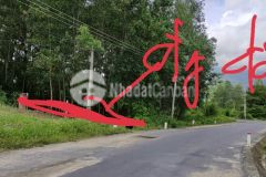 Bán lô đất mặt tiền hương lộ 62 diên hoà. diên khánh. giá 1.3 tỷ