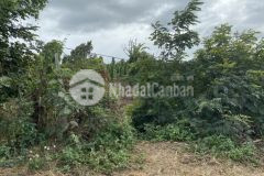 Bán đất giá đầu tư đất xào buôn bông eakao