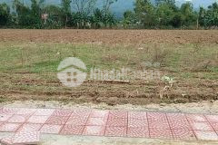 10 lô liền kề 1200m2 full đất ở cầu quan âm đại lộc 492tr 1 lô