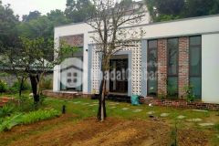 Bán nghỉ dưỡng cư yên lương sơn, 513m 2.xx tỷ. 0981553441