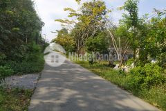 Đất làm nhà vườn tại củ chi sát bên vin eco