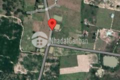 Cần bán gấp đất vườn cây lâu năm dt 10000m2 giá 120m2 có tl 0337406394