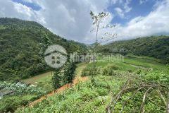 Hot lưỡng cho nhà đầu tư thông thái điểm cao của tả phìn, sapa, lào cai