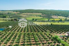 Bán hơn 6 sào đất xã hoà thắng mặt tiền đường dt716 giá 2.5trm2 shr