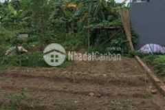 Mặt ngõ ôtô gần phố sổ đẹp mặt tiền rộng 383m đất 34tỷ an dương vương tây hồ