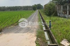 Đất vườn củ chi 500m2 giá ngộp trước tết sổ hồng riêng.