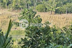 Bán đất giá đầu tư view đồi view thành phố