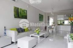 11s phân lô. nhà đẹp mặt ngõ. ô tô tránh. mt đỉnh. dt lớn. kinh doanh. nhỉnh 7 tỷ