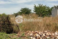 Bán nhanh các lô đất kcn mỹ phước 3 vì ngộp ngân hàng