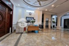 Biệt thự trần thái tông, vỉa hè, kd, thang máy, gara, 200m2, mt10m, chỉ nhỉnh 43 tỷ