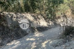 Bán 6600m 7 tỷ 2 mặt đường 4 m tân bình, lagi