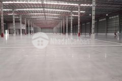 Cho thuê kho xưởng đường lã xuân oai, long trường, q9. dt 2350m2. giá 5,5m2 có tl