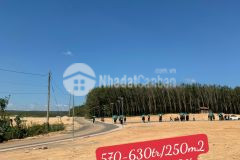 Đất nền cao tốc đồng phú bình dương, 295m2 shr 569tr. lh0767328986