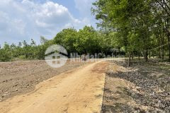 Đất thị xã bình long bình phước sổ sẵn giá chỉ 450tr1000m2