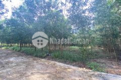 Bán lô đất xã diên đồng, diên khánh.gần khu dân cư thôn 4.