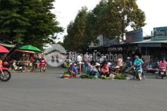 Về quê sống sang gấp 2 dãy trọ và 450m đất ngay khu công nghiệp nhật hàn