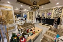 Biệt thư kđt sài đồng, long biên, vỉa hè, gara, ô tô tránh, 220m2, mt15m, 4t, nhỉnh 30 tỷ