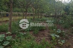 Bán đất bản vặt diện tích 6200m2, đón sóng cao tốc hòa bình mộc châu sơn la