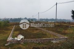 Chính chủ bán lô đất đấu giá thanh nê chương mỹ.