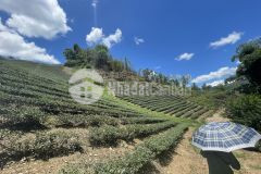 Mảnh đất siêu rộng đón đầu cao tốc hòa bình mộc châu, ngay ql43