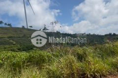 Chỉ với hơn 2.2 trm2 sở hữu đất cầu đất view điện gió đồi trà bao quanh cực phẩm siêu đẹp