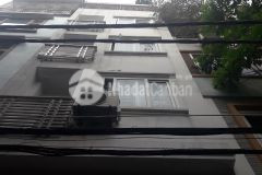 Cần bán gấp nhà đẹp mễ trì hạ, dt 55m, mặt tiền 5,3m, lô góc 2 mặt ngõ giá nhỉnh 8 tỷ.