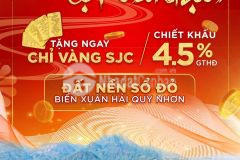 Đi nhanh 5 suất ngoại giao đất nền ven biển sông cầu phú yên liên hệ 037 8888 250