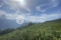 Bán đất mảnh đất 3689m2 siêu to, siêu rẻ