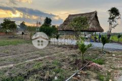 Cần bán gấp lô đất vườn 500m2 ở củ chi đường oto đi đến đất