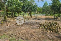 Đất 5x39 100 thổ cư thạnh đức gò dầu tây ninh