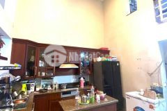 Âu cơ 55m mt trên 6 oto qua nhà chỉ 5.5 tỷ