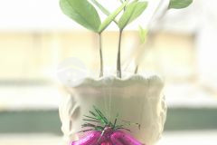 Bán gấp lô đất đầu tư giá f0 tại trung tâm tp