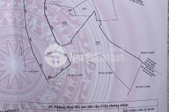 Bán 3000m2 đất xuân trường đà lạt lâm đồng