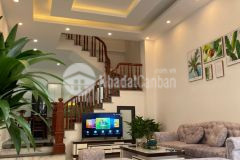 Bán nhà mỹ đình, 52m2, mt4.6m, gần phố, gần ô tô, nhà đẹp, ở ngay, chỉ nhỉnh 4.5 tỷ