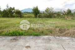 Bán đất diên thọ giá rẻ đường bê tông 5m