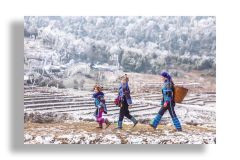 Bán mảnh tuyết rơi đẹp nhất y tý, thanh khoản nhanh, giá đầu tư