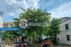 Bán nhà lê văn thọ diện tích 71m2 4.6x 15m giá 7.1 tỷ 3 tầng btcthẻm xe tải.