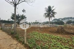 Thiên thời đầu tư bds sổ hà nội 1120m giá 3,5tr sinh lời thần tốc.