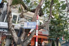 Bán nhà mặt phố trần quốc hoàn, cầu giấy, vị trí đep, kinh doanh đỉnh.