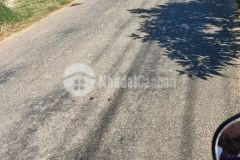 Bán 7x70 m đinh công tráng 1,75 tỷ tân tiến lagi