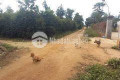 D1008 bán đất giá đầu tư quỳnh ngọc krông ana