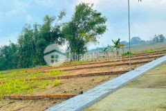 Thanh khoản gấp 2 lô đất đẹp cách chợ đại hiệp 150m dt485m2 1049 giá chỉ 7xx tr