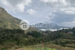 Đón sóng du lịch tả phìn, sapa bán nhanh mảnh đất cực phẩm view cực đỉnh