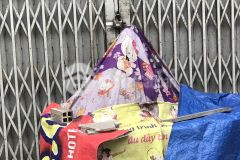 Bán nhà giá rẻ khuông việt, phú trung, tân phú, 60m2, xây trọ kinh doanh