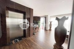 Tôi cần bán biệt thự khu vip phố trần thái tông 216m2, 4t, mt10m, giá 39 tỷ