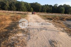 Bán 1 sào phủ hồng 19x51 2,6 tỷ, tân bình, thị xã lagi