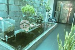 Chỉ 3 tỷ3 bán biệt thự cực đẹp đường cầu bè nha trang