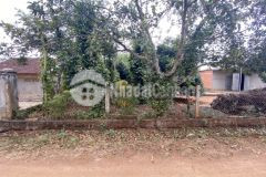 D697 bán đất ea na chợ quỳnh ngọc krông ana