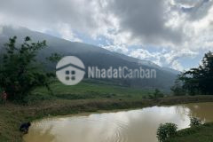 Bán mảnh đất lô góc trung tâm y tý. dt 307m2. view đẹp,ngay tt chợ y tý